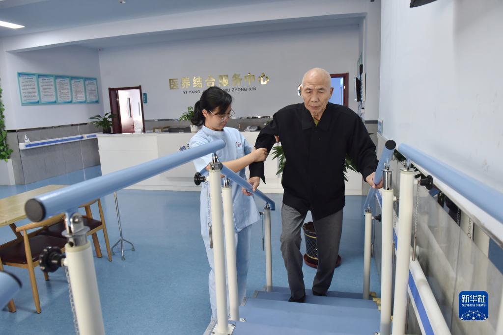 新京葡萄网